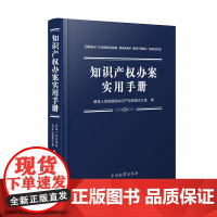 知识产权办案实用手册 人民检察院知识产权检察办公室编 知识产权纠纷案件法律实务 中国检察出版社 软精装