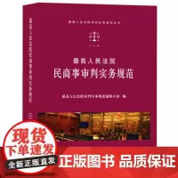 最高人民法院民商事审判实务规范 人民法院出版社 最高人民法院审判实务规范丛书 正版