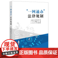 正版 一网通办 法律规制 丁伟 孙福庆主编 法律出版社 地方立法电子政务政务流程