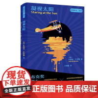 [外研社]凝视太阳(“名奖作品·互文”第二辑)
