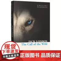 英文原版 The Call of the Wild 野性的呼唤 柯林斯经典文学小说书 Collins Classics