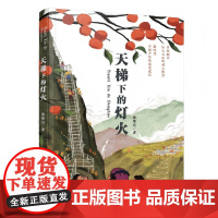 天梯下的灯火 9-12岁儿童文学 作者徐继东