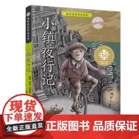 小镇夜行记 9-14岁 全球儿童文学典藏书系·国际获奖作品系列