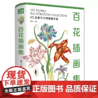 新书 [精装]百花插画集 45位西方大师手绘插画作品集 水彩植物花卉插画版画博物画图谱原作正版临摹教材书籍 经典全集 杨