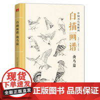 白描画谱 禽鸟篇 中国工笔技法画册集书籍入门初自学者零基础教程材成人手绘临摹勾线名家底稿图大全美术绘画