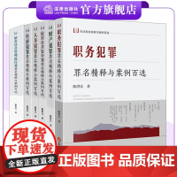 [6本套装]刑法罪名精释与案例百选丛书 陈洪兵著 法律出版社