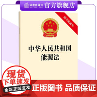 中华人民共和国能源法(附草案说明)2024年11月新版 保障能源安全,优化能源结构,提高能源效率 法律出版社