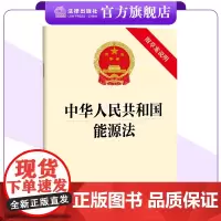 中华人民共和国能源法(附草案说明)2024年11月新版 保障能源安全,优化能源结构,提高能源效率 法律出版社