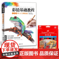 [彩铅基础教程+辉柏嘉48色彩铅]经典全集 五大主题花卉/多肉植物/水果蔬菜/动物 彩色铅笔手绘画入门速写对画教程书籍