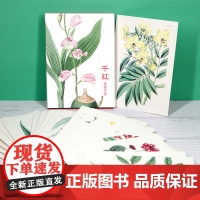 明信片《千红》水彩大师爱德华兹绘 32张名家花卉水彩画册集艺术明信片小卡片手绘插画简约小清新文艺日系复古风生日贺卡创意礼