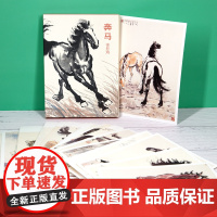明信片《奔马》徐悲鸿绘32张唯美国画明信片中国风国画大师画集十二生肖艺术小卡片手绘插画简约小清新文艺复古生日贺卡创意礼物