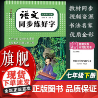 [正版]语文同步练好字(7下) 湖美好字帖 小学七年级语文同步临摹正楷硬笔书法描红练习儿童写字帖每日一练课外控笔训练书籍