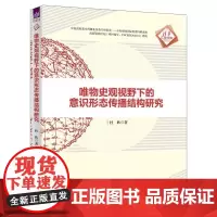 清华正版 唯物史观视野下的意识形态传播结构研究 杜欣 清华大学出版社 传播结构