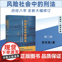 2023新版 风险社会中的刑法 第二版2版 劳东燕 著 北京大学出版社 9787301343937