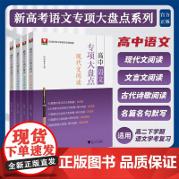 高中语文专项大盘点系列
