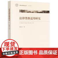 2024新书 法律类推适用研究 钱炜江 法律出版社