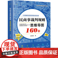 正版 民商事裁判规则思维导图160例 [印签版 ] 全彩印刷 诉讼可视化 董向阳 著 法律出版社