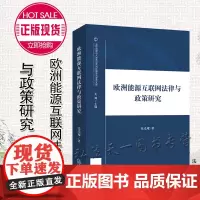 D正版 欧洲能源互联网法律与政策研究 张光耀 法律出版社