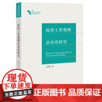 正版 政府工作规则法治化研究 王叶臣著 法律出版社