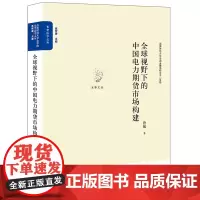 正版 全球视野下的中国电力期货市场构建 唐敏 著 法律出版社