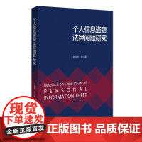 正版 个人信息盗窃法律问题研究 何培育 等 著 北京大学出版社 9787301332948