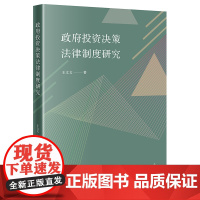 正版 政府投资决策法律制度研究 王文文 著 法律出版社
