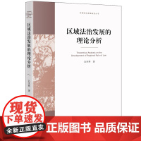 D正版 区域法治发展的理论分析 公丕祥 法律出版社