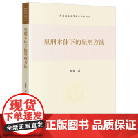 2024新书 量刑本体下的量刑方法 骆多 著 法律出版社