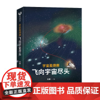 正版新书 宇宙奥德赛 飞向宇宙尽头 王爽 清华大学出版社 宇宙知识