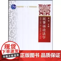 民事诉讼法学(第2版)