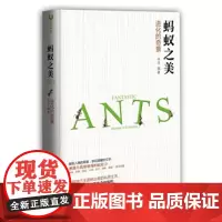 清华正版 蚂蚁之美:进化的奇景 清华大学出版社