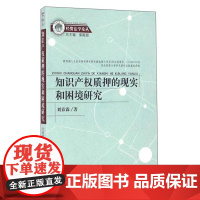 正版 知识产权质押的现实和困境研究 刘春霖 著,柴振国 编 中国检察出版社