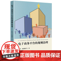 正版 电子商务平台的规则治理 沈岿 满艺姗 等 著 法律出版社