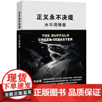 正版 正义永不决堤-水牛湾惨案 [美]杰拉尔德.斯特恩 何帆翻译 法律出版社