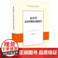 正版 2020 新时代法治传播新动能研究 陈思明 中国法制出版社 乡村振兴中法治传播热点问题分析这样的热点问题