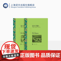 堂吉诃德 [西]塞万提斯著 孙家孟译 译文名著精选 西班牙 中世纪 长篇小说 世界名著 上海译文出版社 正版