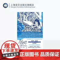 合成的心 群岛图书 [法]克洛埃·德洛姆 著 吴燕南 译 美第奇文学奖 中年独身女性 黑色喜剧 法国自传体代表 上海译文