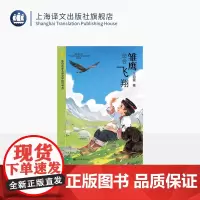 雏鹰总会飞翔 陈伯吹新儿童文学桂冠书系 王钧宴 著 曹儿童文学奖 银葵花奖等获得者 爱与梦想 励志勇敢 上海译文出版社