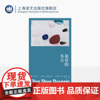 束草的冬天 故事群岛 [法]埃莉萨·秀雅·迪萨潘 著 狄佳 译 罗伯特·瓦尔泽奖 法韩混血女作家首作 女性主义 上海译文
