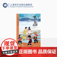 飞上云端的足球 李艳丽著 陈伯吹新儿童文学桂冠书系 团结一致 永不言弃 顽强拼搏 女足精神 少数民族女孩们因足球改变命运