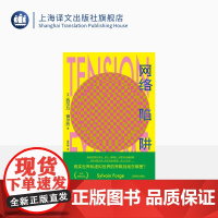 网络陷阱 [法]西尔万·福尔热 著 聂云梅 译 法国警察局奖获奖作品 上海译文出版社 正版