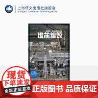 堆芯熔毁 译文纪实 [日]大鹿靖明 著 熊芳 译 日本福岛核电站 核电站事故 核污染 上海译文出版社 正版