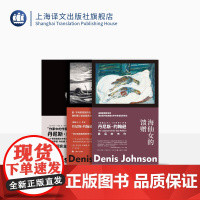 丹尼斯·约翰逊作品共三种 故事群岛 海仙女的馈赠 火车梦 耶稣之子 短篇小说集 肮脏现实主义 上海译文出版社
