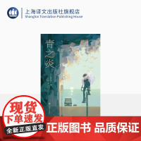 青之炎 [日]贵志祐介 丁丁虫 译 豆瓣2021年度推理悬疑 十七岁的完美犯罪 蜷川幸雄导演二宫和也主演同名电影原作 上