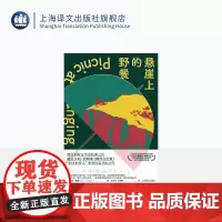 悬崖上的野餐 [澳] 琼·林赛 著 王中兰 王丽娇 译 澳大利亚经典 邪典小说 哥特风 电影改编 女性意识 上海译文出版