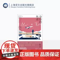 身份的焦虑 阿兰·德波顿作品集 精装 陈广兴 南治国译 心理自助书 治愈系 近百幅配图精美呈现 上海译文出版社 正版