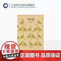 傲慢与偏见 简奥斯丁著 王科一译 译文40系列 文学长篇小说 世界名著 青春文学 上海译文出版社 正版