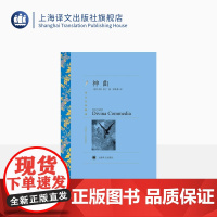 神曲 但丁著 朱维基译 译文名著精选 世界名著 意大利文学小说书籍 名著经典读物 中古文化 上海译文出版社 正版