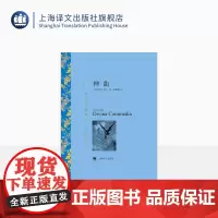 神曲 但丁著 朱维基译 译文名著精选 世界名著 意大利文学小说书籍 名著经典读物 中古文化 上海译文出版社 正版