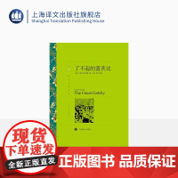 了不起的盖茨比 F·S·菲茨杰拉德著 巫宁坤等译 译文名著精选 世界名著 美国文学小说 外国名著 经典读物 上海译文出版